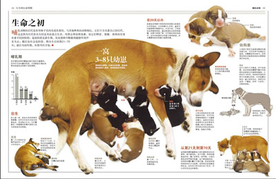 人为什么会?地球上最早的哺乳类动物是什么?