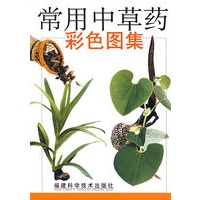 常用中草药彩色图集