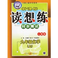 新课标读想练同步测试:九年级化学(上·人教版)