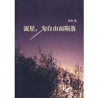 流星，为自由而陨落