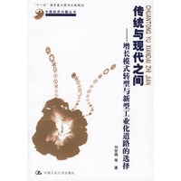 传统与现代之间－增长模式转型与新型工业化道路的选择
