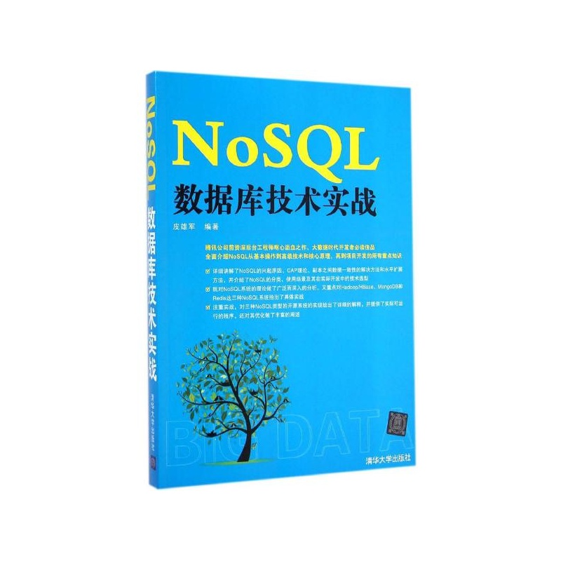 【NoSQL数据库技术实战图片】高清图_外观图