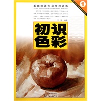 基础绘画色彩全程训练——初识色彩
