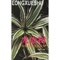 我的养花经验采撷 龙血树