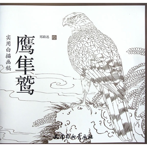 实用白描画稿-鹰隼鹫