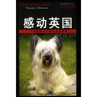 感动英国:一条感动整个英伦三岛的狗