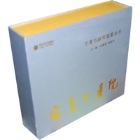 宁夏书画院艺术家作品集