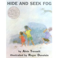 雾里捉迷藏Hide and Seek Fog