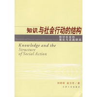 知识与社会行动的结构:知识社会的理论与实践研究
