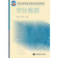 审计实训