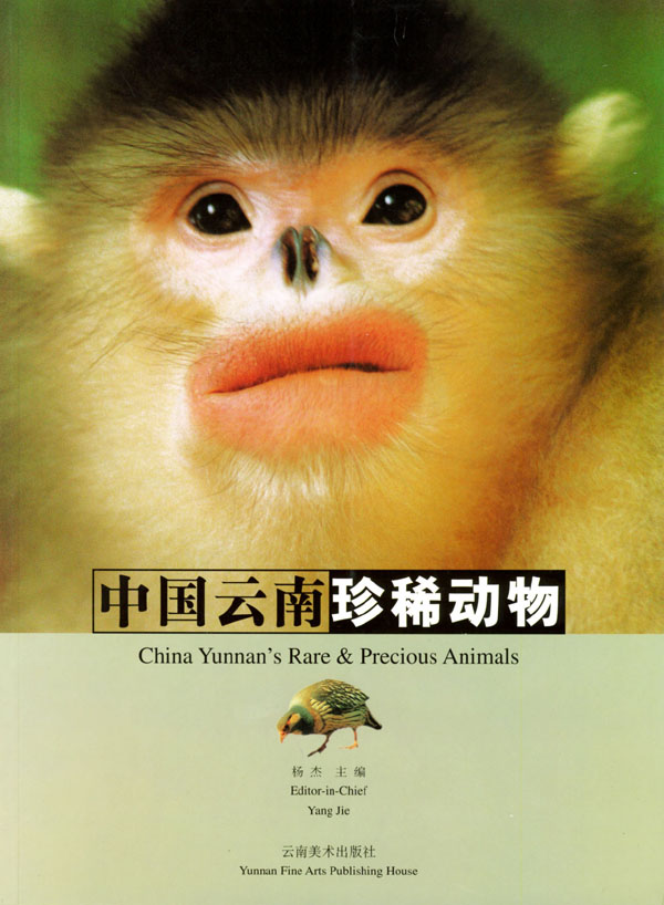 中国云南珍稀动物