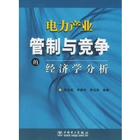 电力产业管理与竞争的经济学分析