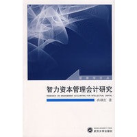 智力资本管理会计研究