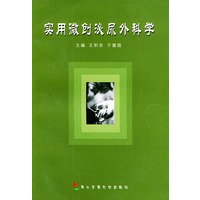 实用微创泌尿外科学