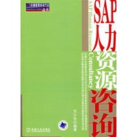 SAP人力资源咨询
