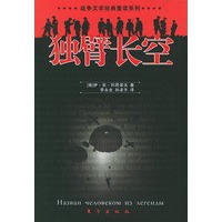 独臂长空——战争文学经典重读系列