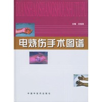 电烧伤手术图谱（附CD—ROM一张）