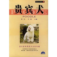 贵宾犬——经典名犬系列2
