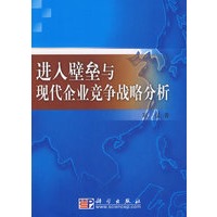 进入壁垒与现代企业竞争战略分析