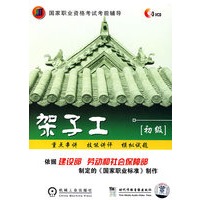 架子工（初级）（3VCD）