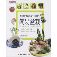 简易盆栽创意盆器巧搭配悠生活·快乐手工坊