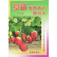 草莓优质高产新技术