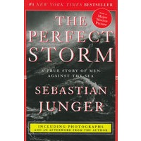 THE PERFECT STORM