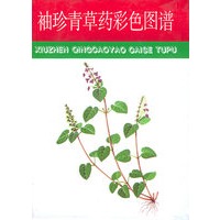 袖珍青草药彩色图谱