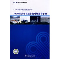 火电机组节能对标系列丛书 300MW火电机组节能对标指导手册