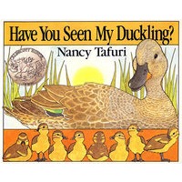 你看到我的小鸭吗？Have You Seen My Duckling?