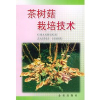 茶树菇栽培技术