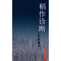 稻作诊断