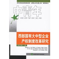西部国有大中型企业产权制度改革研究