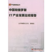 中国和俄罗斯IT产业发展比较报告