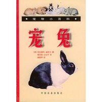 宠兔 宠物小百科