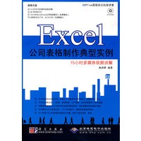 Excel公司表格制作典型实例(1DVD)
