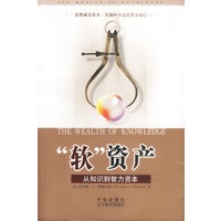 “软”资产：从知识到智力资本