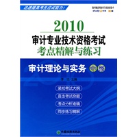 2010年审计专业技术资格考试考点精解与练习——审计理论与实务（中级）