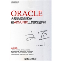 Oracle大型数据库系统在AIX/UNIX上的实战详解