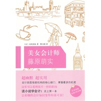 美女会计师藤原萌实（史上第一本！读小说，学会计精髓！绝密！另类！）