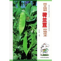 图文精解荷兰豆种植技术——建设农村小康社会书系·无公害蔬菜种植系列