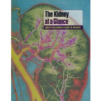 肾脏学一览The Kidney at Glance