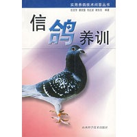 信鸽养训