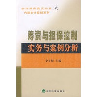 筹资与担保控制实务与案例分析