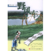 野风车——曹文轩纯美小说系列