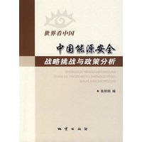 中国能源安全战略挑战与政策分析:世界看中国