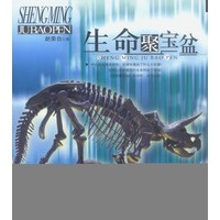 生命聚宝盆