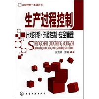 过程控制一本通丛书--产品过程控制:计划排期·流程控制·安全管理