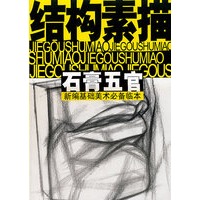 结构素描——石膏五官（新编基础美术必备临本）