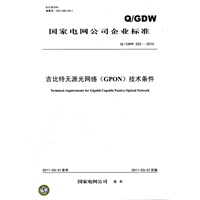 Q／GDW 523-2010 吉比特无源光网络（GPON）技术条件